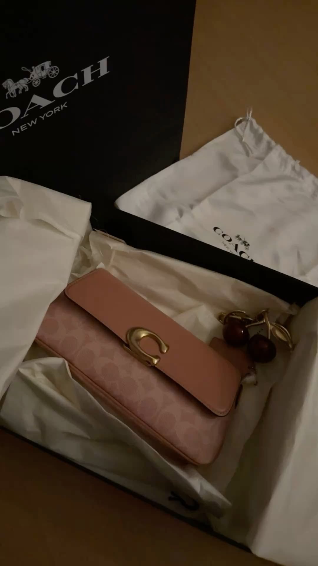 Coach Jet Shoulder Bag with Brand Box