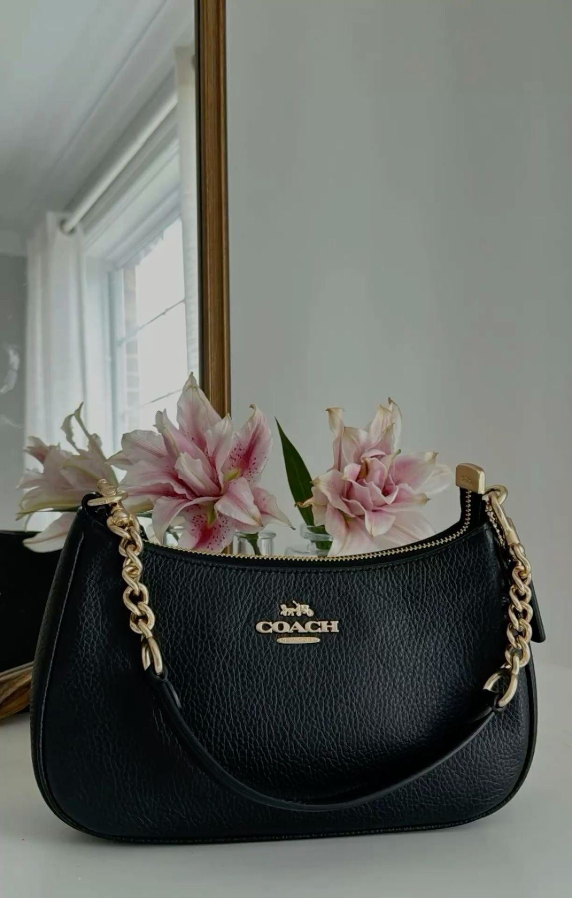 Coach Teri Bag with Brand Box- Same as Original