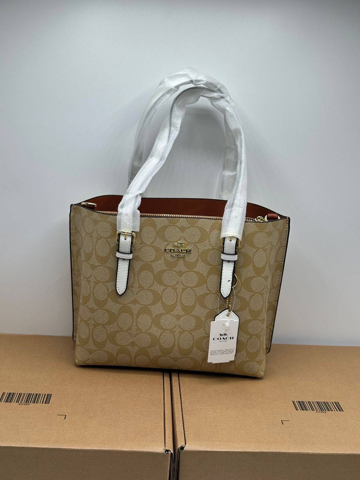 Coach Mollie Small Tote with Brand Box