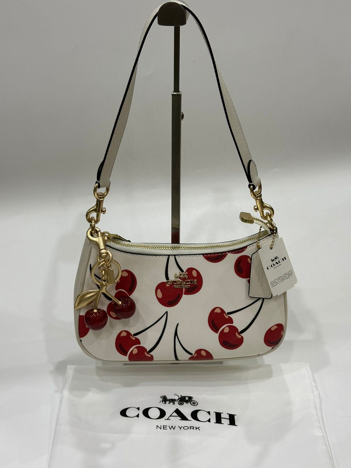 Coach Teri with Brand Box - Same as Original