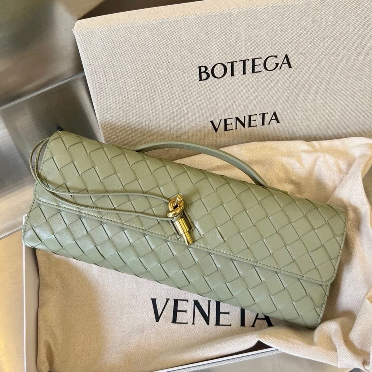 Bottega Veneta Andiamo Clutch