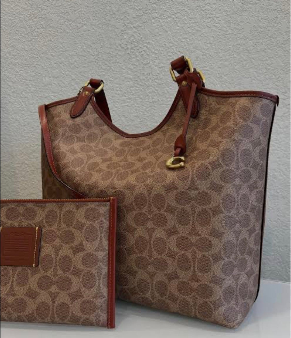Coach Day Tote In Signature Canvas with Brand Box
